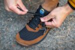 RJ44BP26 Lems ursprüngliches Streben Schuhe Männer Canyon (Wildleder) - Image 2